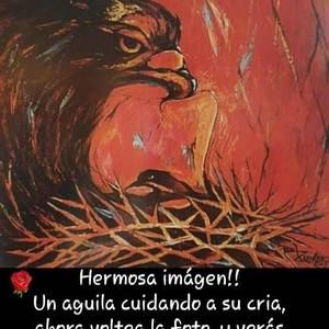 Meet your Posher, Yolany